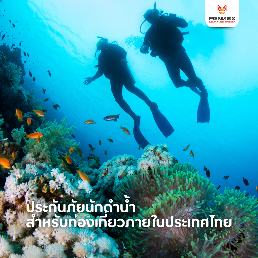ประกันนักดำน้ำ